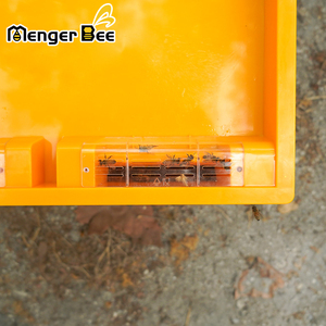 Nuevo Alimentador de Abejas Menger Bee ABS para Colmenas Langstroth de 10 Cuadros, Capacidad de 3.5L, Suministros de Apicultura No Invasivos, Garantía de 2 Años - Product Image 6