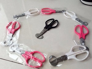 Ouvre-coquille <span class=keywords><strong>d</strong></span>'œuf de caille manuel multicolore, ciseaux pour couper facilement les œufs de caille, outil de <span class=keywords><strong>d</strong></span>écoupe pour la cuisine domestique, les magasins <span class=keywords><strong>d</strong></span>'alimentation, HJ-DN012 - Product Image 5