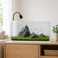 Ensemble d'aquarium de bureau tout-en-un en gros, aquarium personnalisable directement de l'usine avec filtre intégré et éclairage LED pour commandes en gros