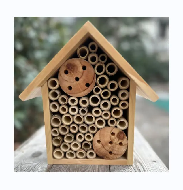 Mason arı evleri açık ahşap arı otel bahçe ve Yard el yapımı bambu arı kovanı kelebekler ve Ladybugs için
