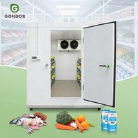 Chambre froide de 24 pieds 2x2 pour boulangerie, boucherie, glace, mini-fruits, poisson, viande et tomates