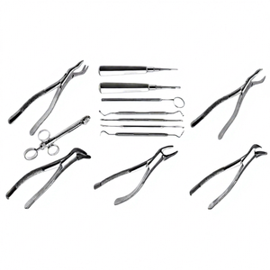 Juego de Instrumentos Quirúrgicos Dentales Premium para Extracción, de Acero Inoxidable, que Incluye Fórceps de Extracción, Elevador de Raíces, Jeringa, Sonda, Espejo, con Certificación CE - Product Image 1