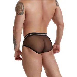 Custom See Through Breathable Mens Black Thong Pictures Of Sexy Teen Boys In Mesh Briefs Mens Transparent Sexy Underwear