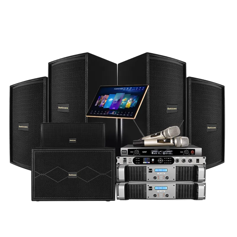 Bekboes Ktv Professionele Full Range Audio Set Volledig Systeem Familie Karaoke Machine Speaker De Sonido/Amplificadores/Altavoz
