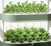 Système de culture aéroponique élégant à 3 niveaux avec lumière LED et pompe pour la culture intérieure d'herbes et de laitues