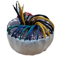Transformateur toroïdal 1000w 2000w 3000w Onduleur personnalisé 110v 220v pour transformateur d'isolement d'amplificateur de puissance Audio