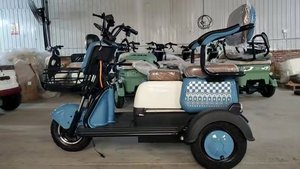 Tricycle Électrique à <span class=keywords><strong>3</strong></span> <span class=keywords><strong>Roues</strong></span> en Promotion – Tricycle Passager, Vélo Électrique de Transport, E-Bike pour Adultes - Product Image 6