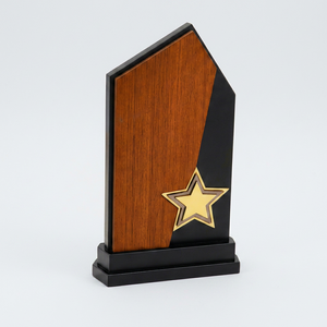 Wooden Star <b>Trophy</b> With Engraving For Sports And Games Durable Award <b>Plaque</b> wooden momentos <b>trophy</b> - Product Image 1