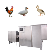 Équipement d'abattage de volailles à haute productivité automatique, équipement d'abattage de poulets/canards