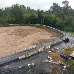 Nuôi trồng thủy sản <span class=keywords><strong>0.3mm</strong></span> 0.5mm 0.75mm ao lót <span class=keywords><strong>HDPE</strong></span> <span class=keywords><strong>geomembrane</strong></span> cho vannamei tôm cá trang trại ở Indonesia/Thái Lan - Product Image 5