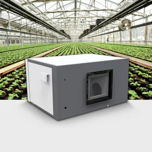 Thailand Hot Sale 480L/Day wall mounted ceiling auto dry dehumidify commercial greenhouse dehumidifier