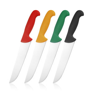 <span class=keywords><strong>Couteau</strong></span> de boucher pro 10 pouces <span class=keywords><strong>couteau</strong></span> de boucher lame en acier inoxydable avec manche en nylon - Product Image 2