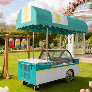 Carrito de helados y gelato, carrito de flores para exteriores, vitrina expositora de helados, quiosco, carrito de comida, carrito congelador callejero, heladería móvil - Product Image 2
