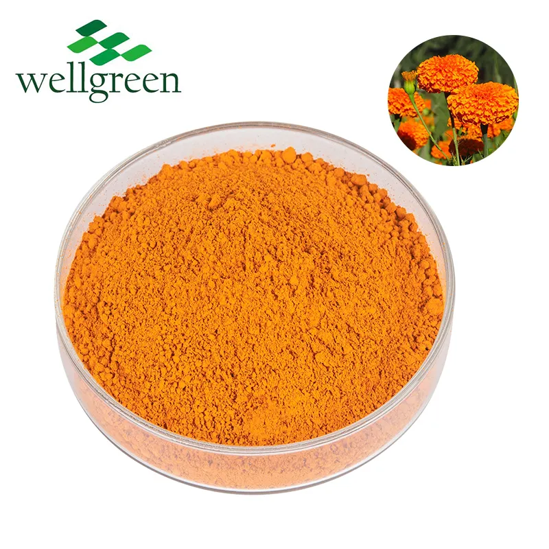 Ekstrak bunga Marigold Premium alami bubuk xanthofill Lutein 10% untuk mata