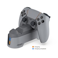 Station de charge double pour manettes PS5, accessoires de jeu, livraison directe d'usine