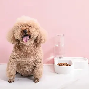 Ciotola intelligente automatica per cani con bocca Non bagnata a forma di cuore Set di ciotole per alimenti per animali domestici
