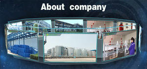 Etil lauroil arginato Hcl Cas 60372-77-2 - Product Image 5