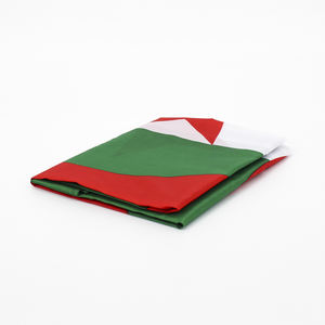 1 pezzo disponibile pronto per la spedizione 3x5 Ft 90x150cm Algeria bandiera nazionale Algeria - Product Image 6