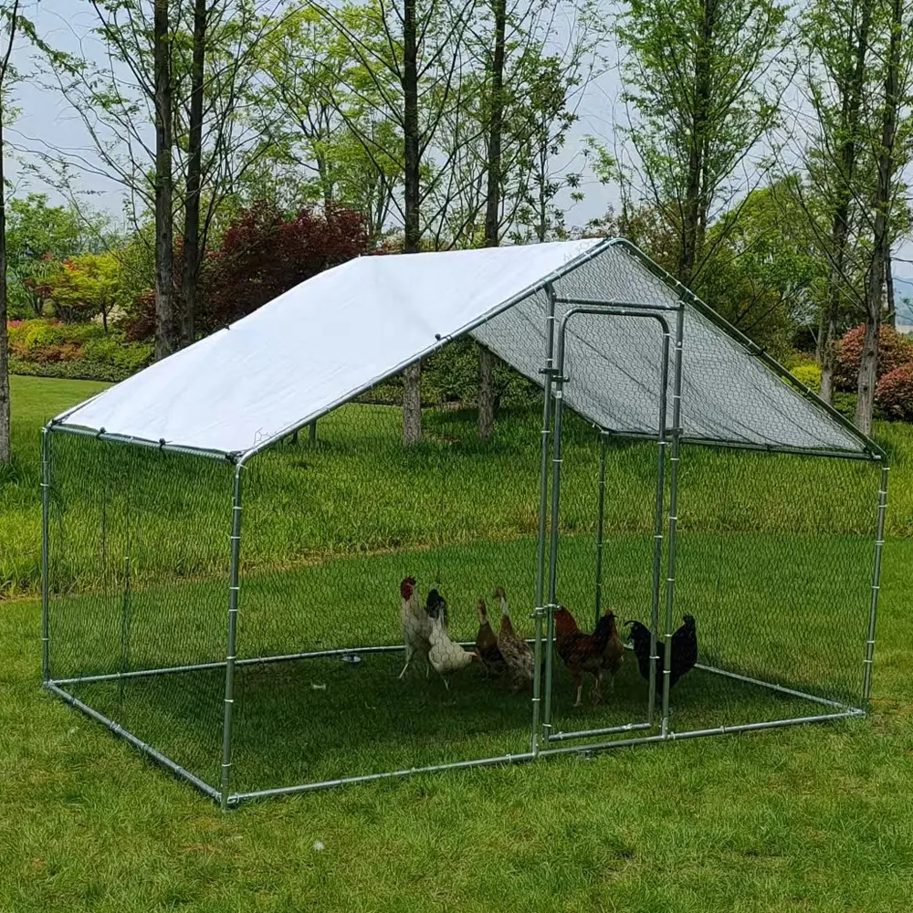 Jaula de gallinero de Metal grande para granja mayorista, gallinero barato para campo agrícola con costos de precios baratos