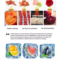 Lyophilisateur domestique moderne à 10 plateaux pour fruits, légumes et viande, en acier inoxydable 304, pour séchage par congélation sous vide, autres applications de jardinage