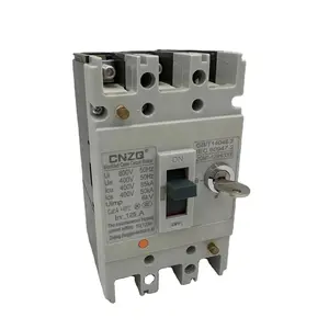 Factory Price Professional Molded Case Circuit Breaker(With Lock)