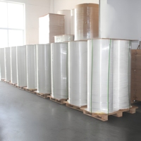 Etiqueta Ecológica Personalizada de Fábrica, Papel de Arte Semibrillante, Etiqueta Autoadhesiva Jumbo, Material en Rollo Jumbo para Transferencia Térmica