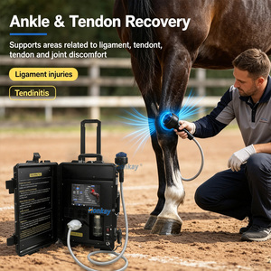 Système de thérapie par ondes de choc pour la rééducation équine, appareil portable à ondes de choc focalisées pour une utilisation vétérinaire - Product Image 1