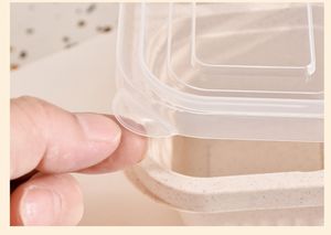 Cajas reutilizables para aperitivos Bento, contenedores de almacenamiento de alimentos divididos, contenedor para almuerzo para niños y adultos, almacenamiento perfecto de alimentos - Product Image 6