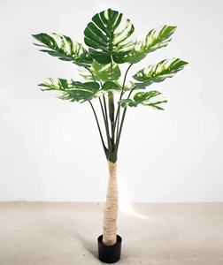 Monstera Deliciosa Artificiale Realistica con Tronco Alto e Foglie Variegato Bianco, in Vaso di Plastica, Pianta Verde Decorativa per Interni, Disponibile in Diverse Misure - Product Image 4