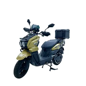 전기 스쿠터 무릎 48v 건전지 성인을 위한 90 km/h 스쿠터 500w oem 경쟁가격 독일 한정된 판매 황금