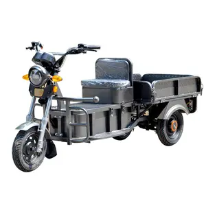 Sepeda roda tiga listrik kargo truk 3 roda muatan berat 1000W Tiongkok