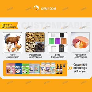 OEM/ODM 10 en 1 mastication molle pour animaux de compagnie supplément avancé pour hanche et articulation avec glucosamine et chondroïtine friandises anti-douleur pour <span class=keywords><strong>chien</strong></span> - Product Image 5