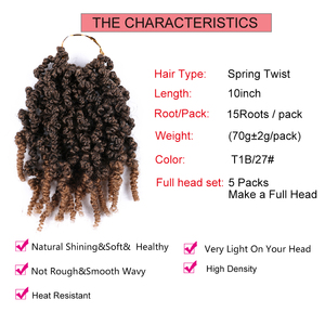 Pre-retorcido de giro del pelo 10 pulgadas Pre-retorcido pasión Twist trenzas de Crochet rizado <span class=keywords><strong>bomba</strong></span> de primavera twist pelo - Product Image 4