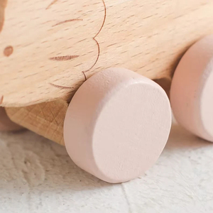 Set mainan dinosaurus dari kayu 0-12 bulan, Set mainan sensorik permainan peran Motor untuk balita 0-12 bulan - Product Image 4