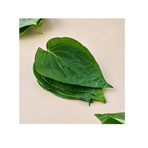Hoja de Betel Verde Natural Fresca, Entera, de Primera Calidad, para Uso Culinario, Herbal, Ayurvédico, Ceremonias Religiosas, Grado Alimenticio - Product Image 2