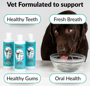 Additif buccal naturel OEM pour chiens, formule dentaire pour garder les dents propres et rafraîchir l'haleine des chiens, pour la santé bucco-dentaire des chiens - Product Image 3