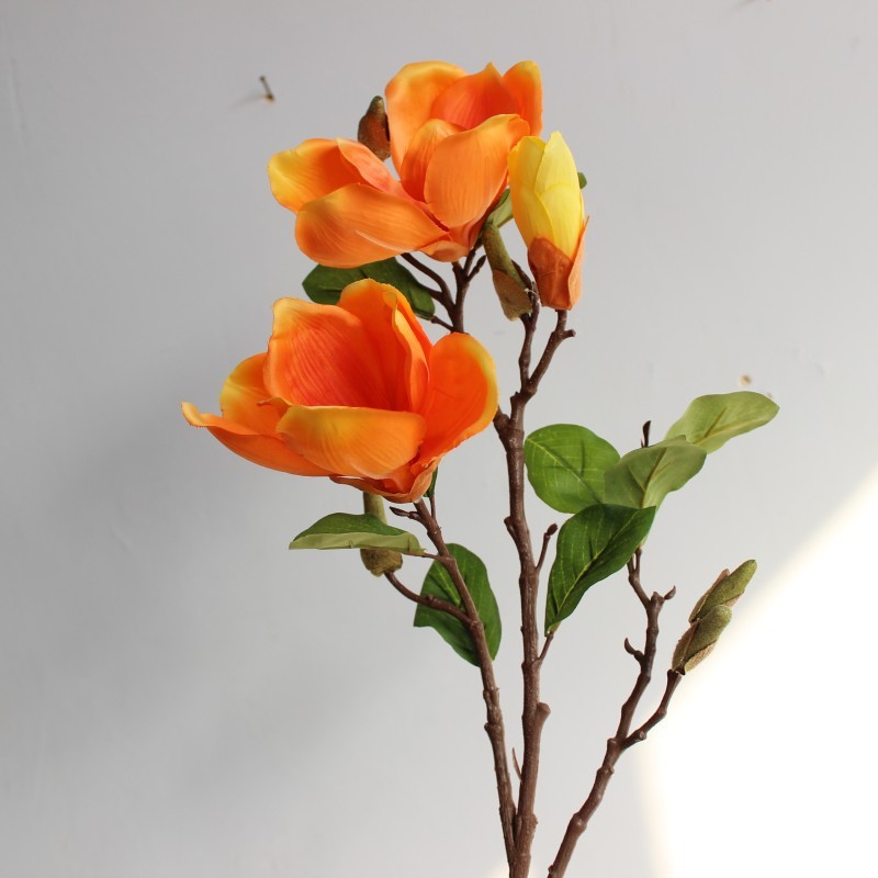 SKU01