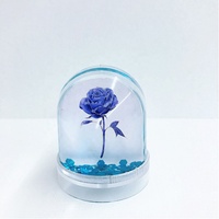 Cadre photo de boule à neige liquide en plastique au prix de gros avec eau pailletée Cadeau et décoration de maison respectueux de l'environnement