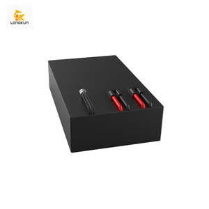 48V Lithium-Ionen-Akku für Roboter 2000 Deep Cycles Global Export - Product Image 1