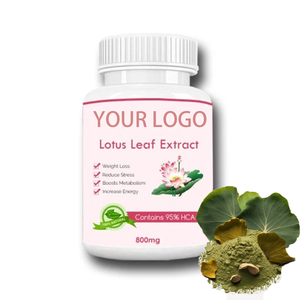 Alta Qualidade 2% Nuciferina Premium Food Grade Herbal Extrato Extrato De Folha De Lótus Orgânico Em Pó Extrato De Plantas Naturais - Product Image 3