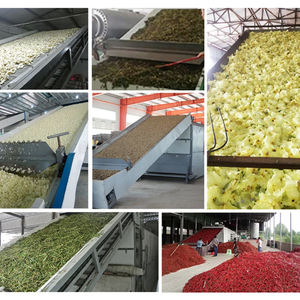 Maquina deshidratadora de alta calidad, Transportadora de frutas, maquina secadora de aire caliente para pescar de mar, - Product Image 4