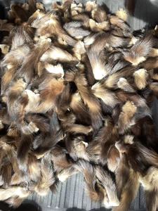 Vente en gros de queues de zibeline russe de haute qualité, queues de zibeline canadiennes authentiques, Baum Marten - Product Image 2