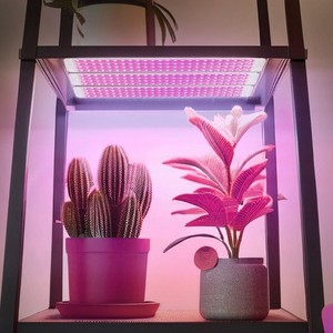 Pannello LED <span class=keywords><strong>Quantum</strong></span> a Spettro Completo COB per Coltivazione Indoor IP65 LM301H 4/9/12/18W Bianco per Piante d'Acquario, Succulente, Semenzai e Paesaggistica - Product Image 5