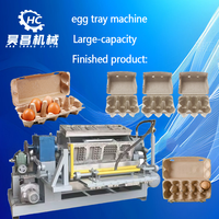 Machine de carton d'oeufs du Maroc pour l'emballage de pulpe de papier de ferme de volaille