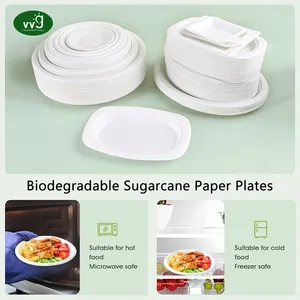 VVG umwelt freundliche biologisch abbaubare 10-Zoll-Einweg-Zuckerrohrpapier ovale Abendessen Serviert eller für Restaurant