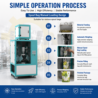 Machine d'emballage de sachets à bec verseur pour granulés de 1 à 5 kg, jusqu'à 300 sachets/heure, avec système de pesage pour riz, céréales mélangées et sucre