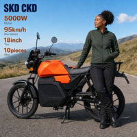 Moto électrique à batterie interchangeable pour les longs trajets, moto électrique pour adultes, moto de tourisme pour les longues balades