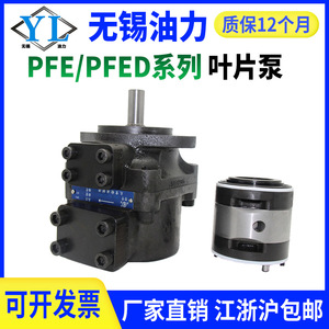 Pompe à palettes de type Atos Yuci PFE-21010310164104551150-1DT Pompe à huile hydraulique Catégorie de produit Pompes hydrauliques - Product Image 4