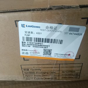 Bomba de Velocidad Variable LIUGONG 11C0700P01 Favorita de los Clientes, Precio de Fábrica al por Mayor, Piezas de Maquinaria de Construcción - Product Image 5