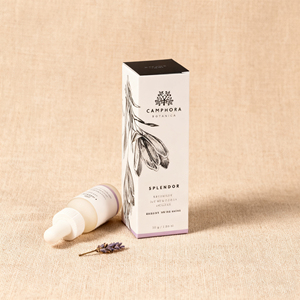 กล่องกระดาษสีขาวเคลือบ UV สำหรับบรรจุภัณฑ์น้ำมันหอมระเหยและผลิตภัณฑ์ความงามแบบ OEM เงาสูง - Product Image 3